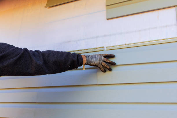 Best Vinyl Siding Installation  in Oceana, WV